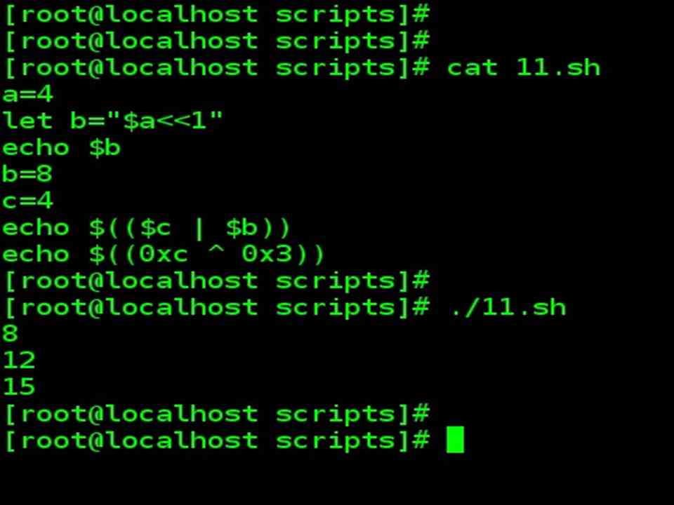 Bash Bitwise Operators example