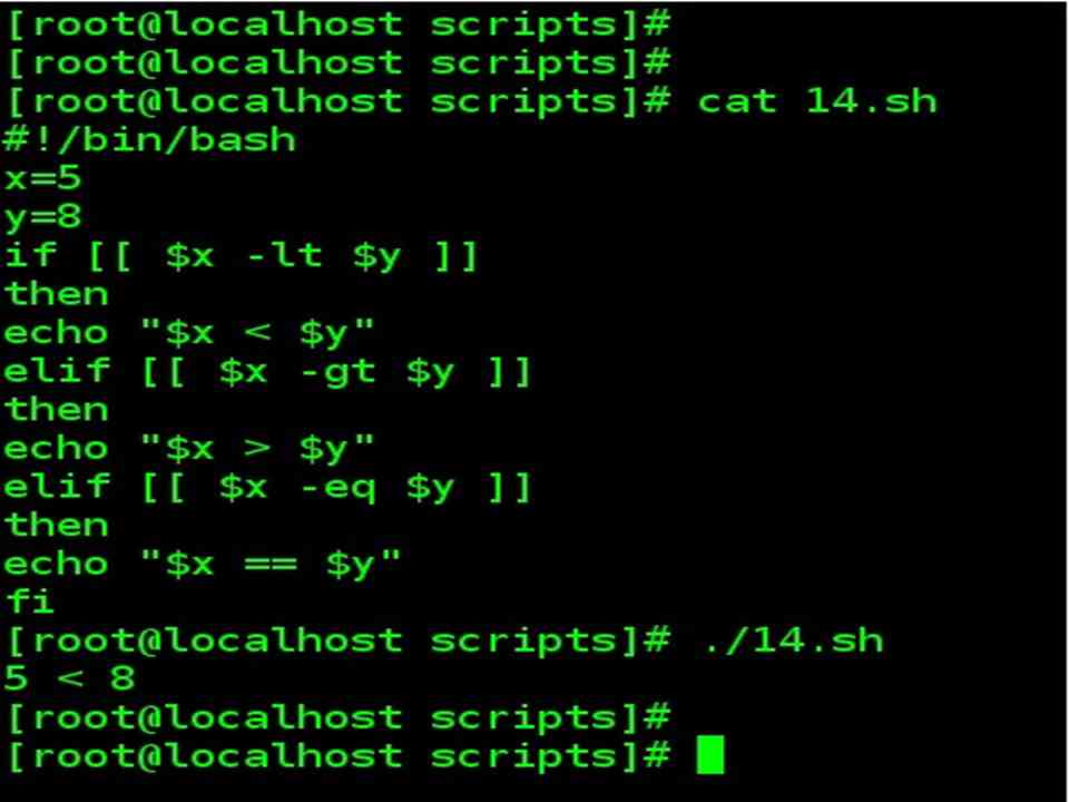 Integer comparison operator bash script