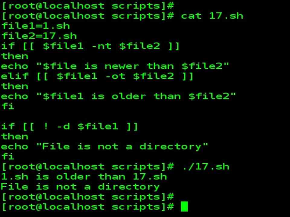 Bash File Test operator