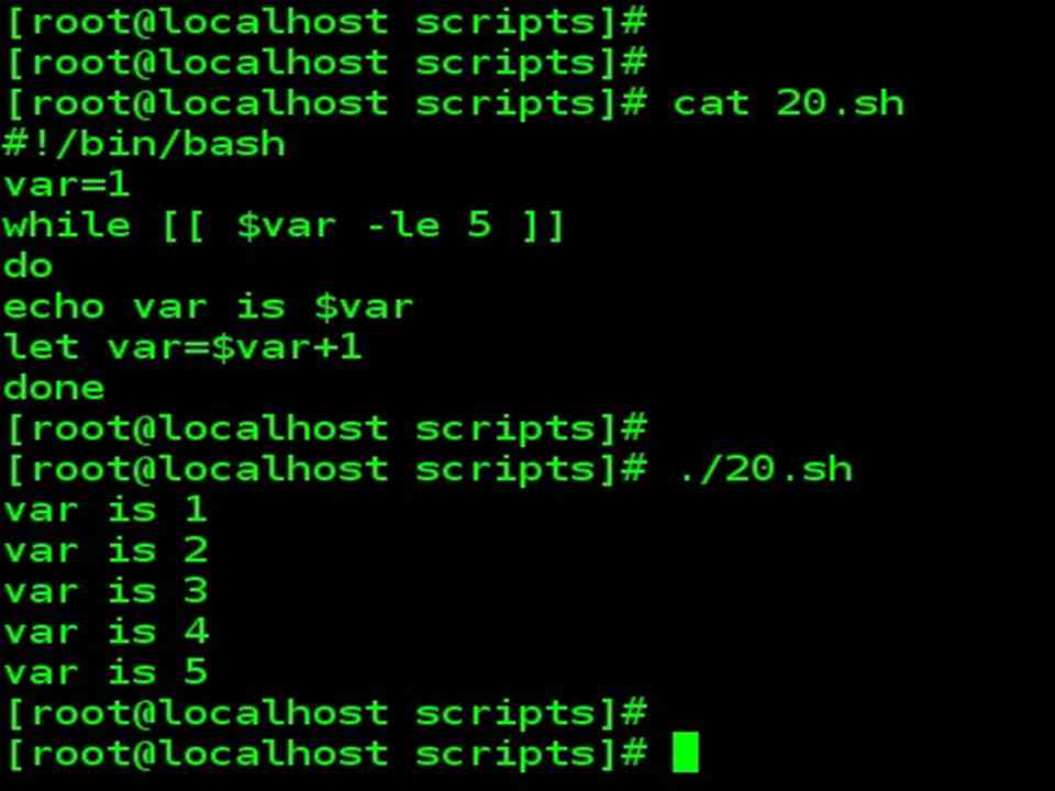 Bash Script While loop syntax construct with example