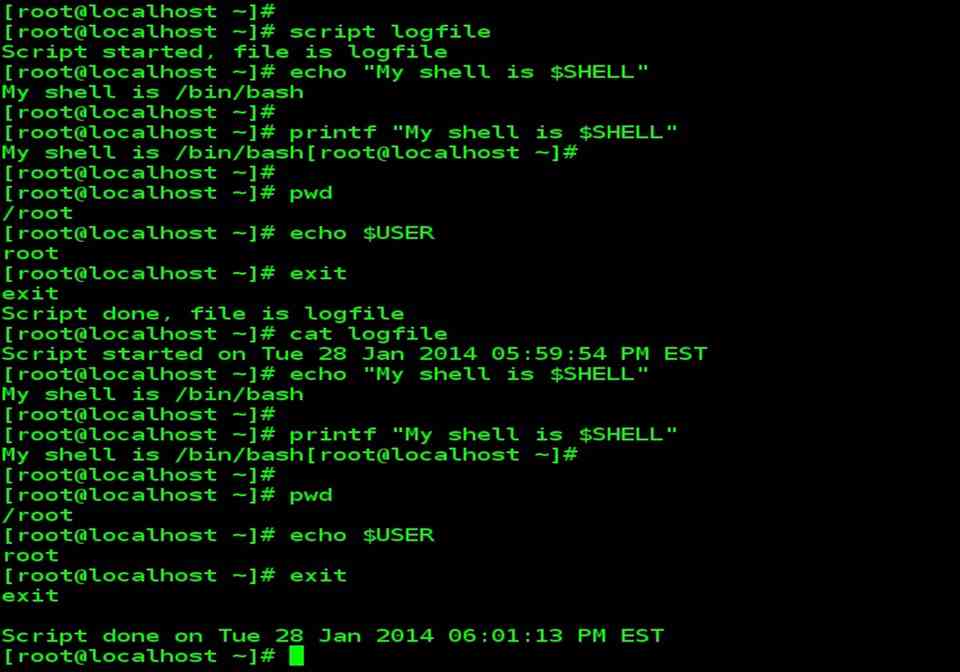 script command linux examples