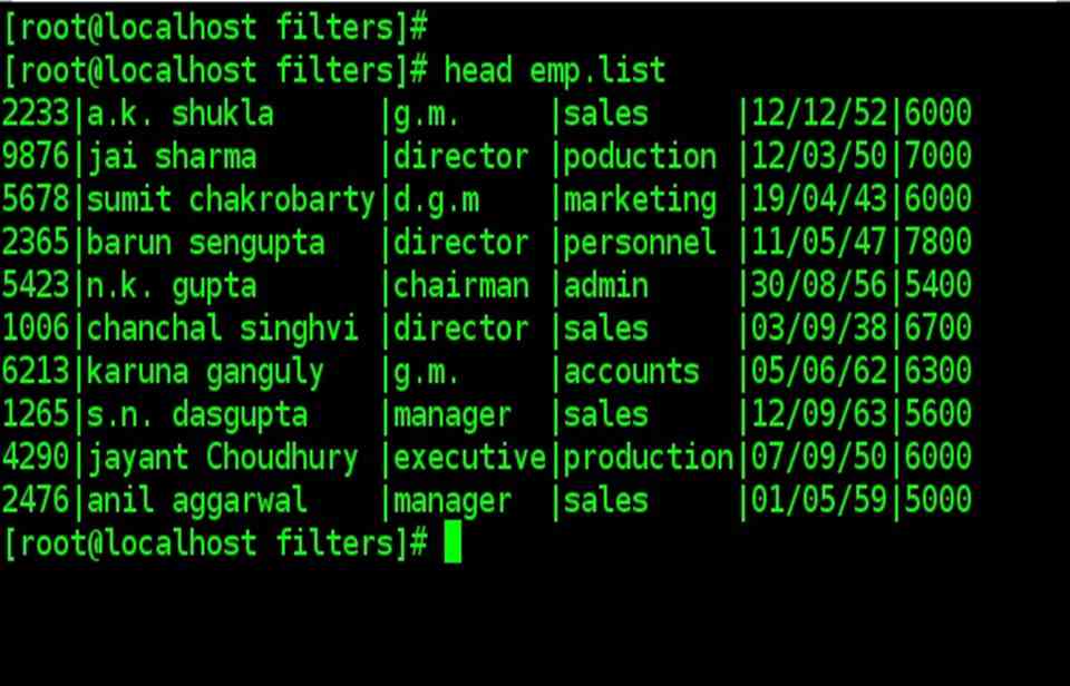 head command example when used without option