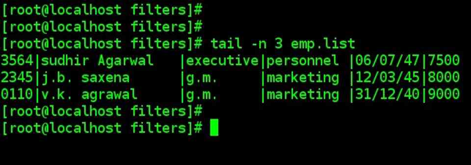 tail command example with -n option