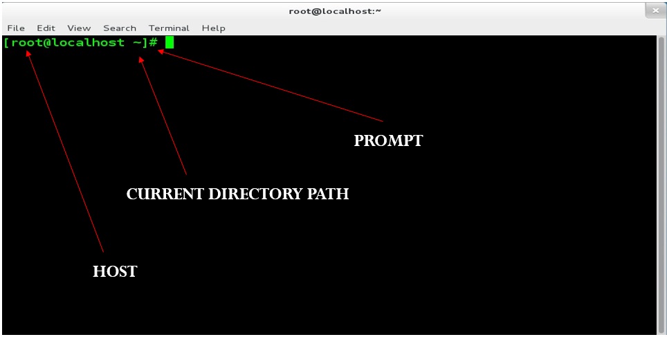 Linux Terminal with example