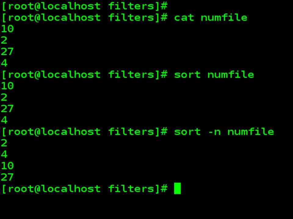 sort command example with numeric option -n