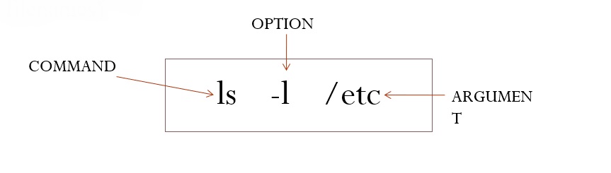 Linux command option arguments