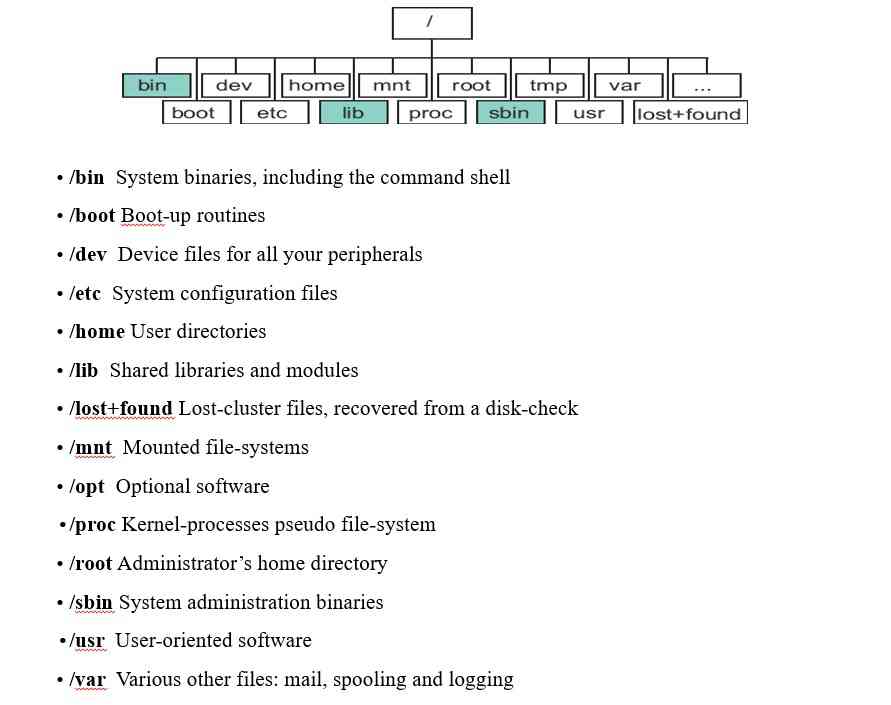 File System Linux