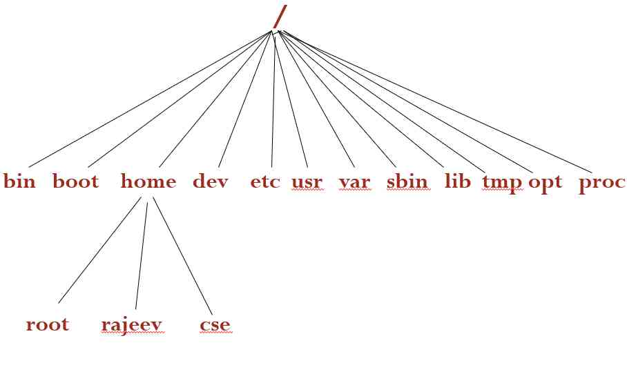 LINUX FILE SYSTEM TREE STRUCTURE HIERARCHY