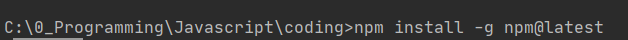 l or update with the latest version of npm using Intellij IDEA Command Prompt
